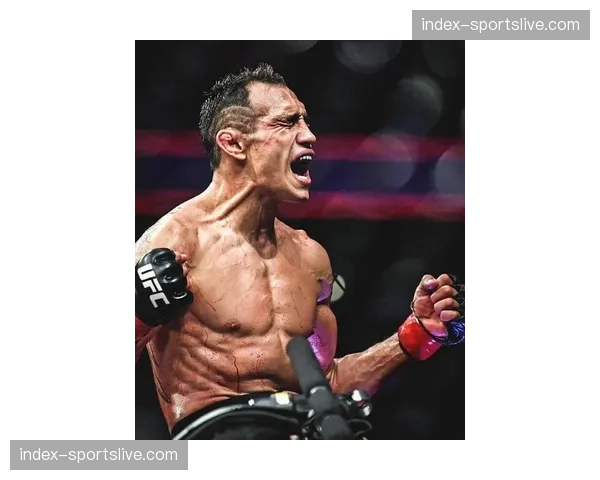 专访“夜魔”弗格森:谈及退役生活规划与潜在的拳击表演赛 专访“夜魔”弗格森:谈及退役生活规划与潜在的拳击表演赛