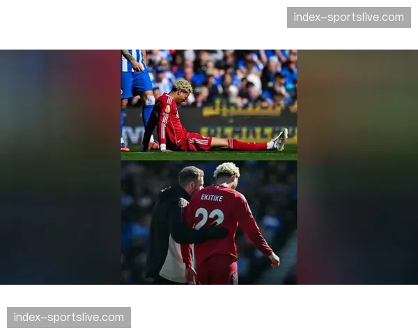 利物浦埃基蒂克无对抗受伤离场，赛季报销打击球队进攻线